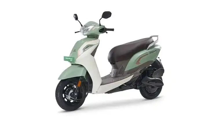 Magnus Neo Matcha Green